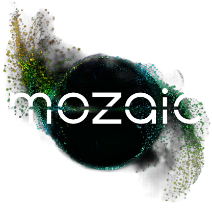 Grafika Seagate: mozaic